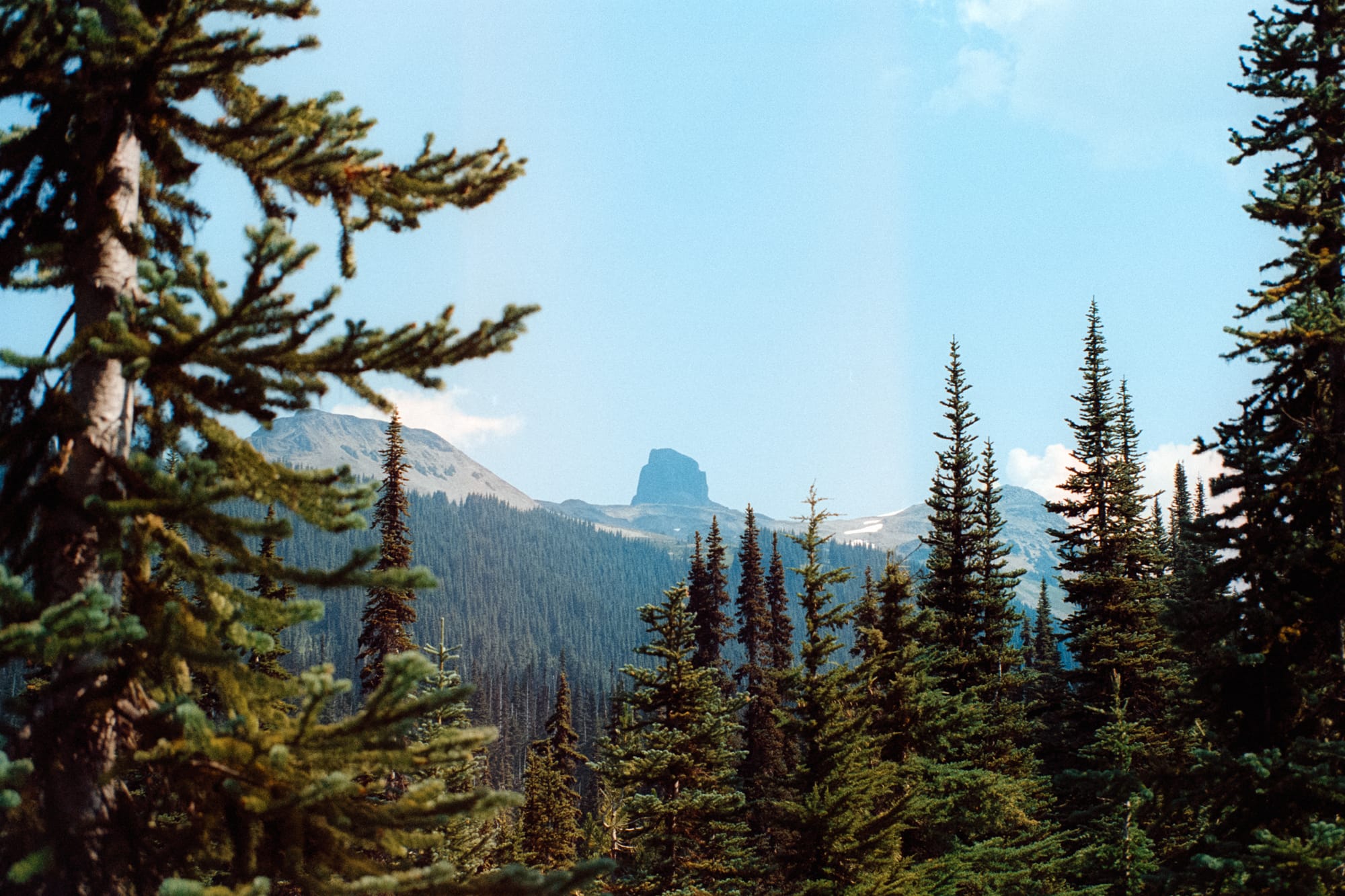 View of Black Tusk with trees in the foreground