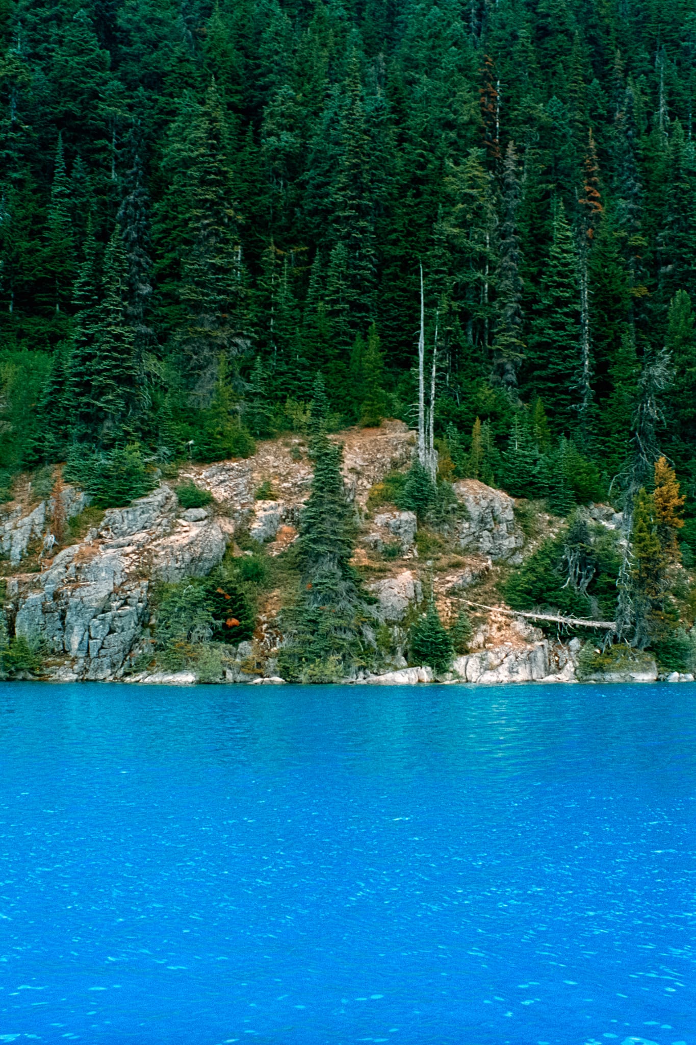 A river of blue water at Garibaldi Lake