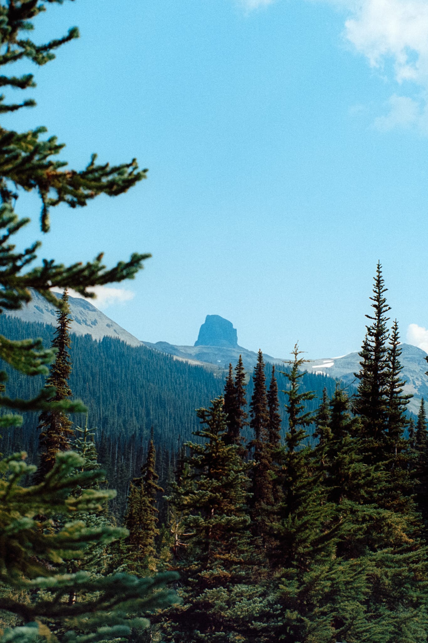 View of Black Tusk through a forest in the foreground