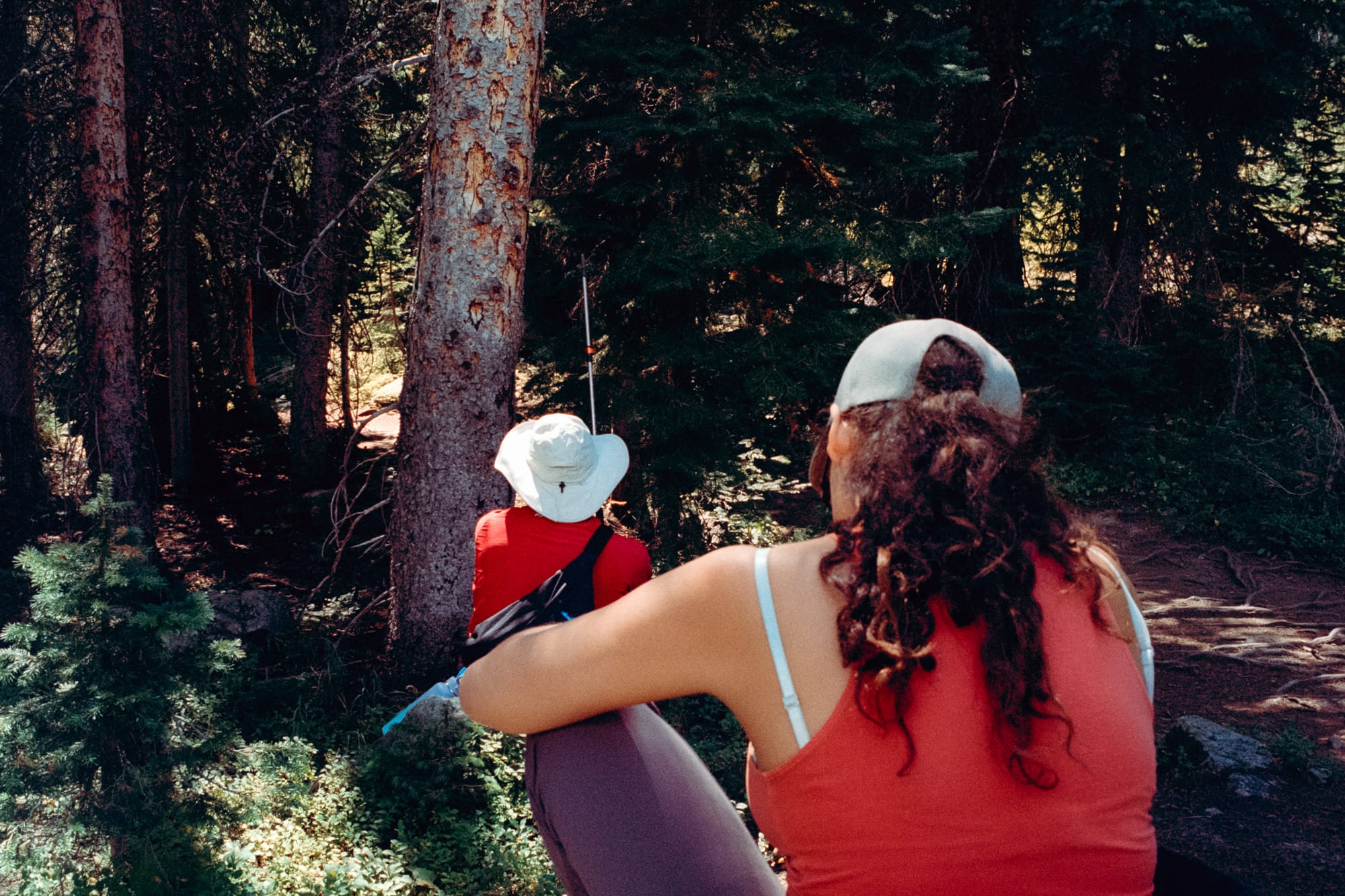 Forest Hiking at Rocky Mountain National Park