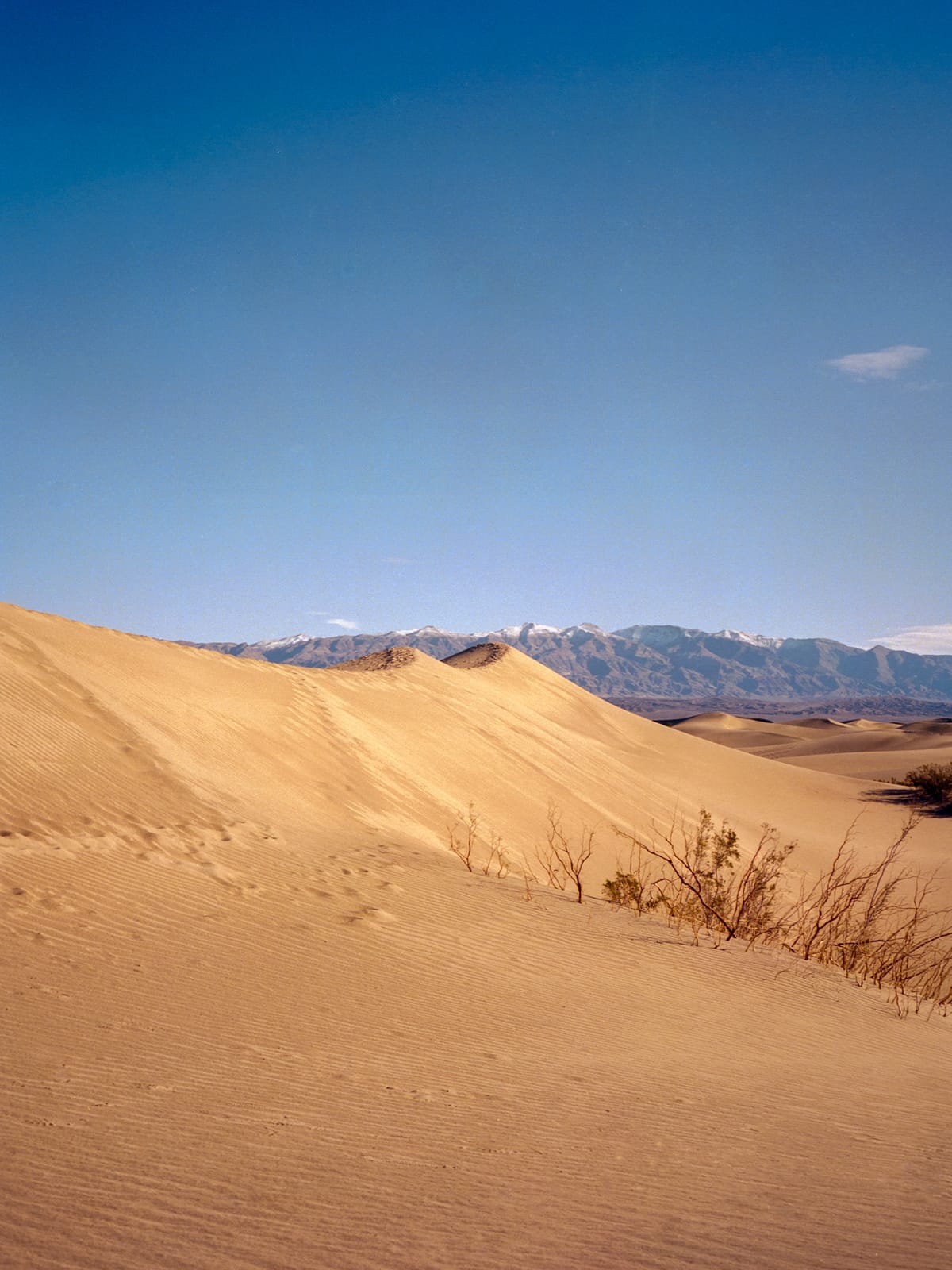 Death Valley & Mojave