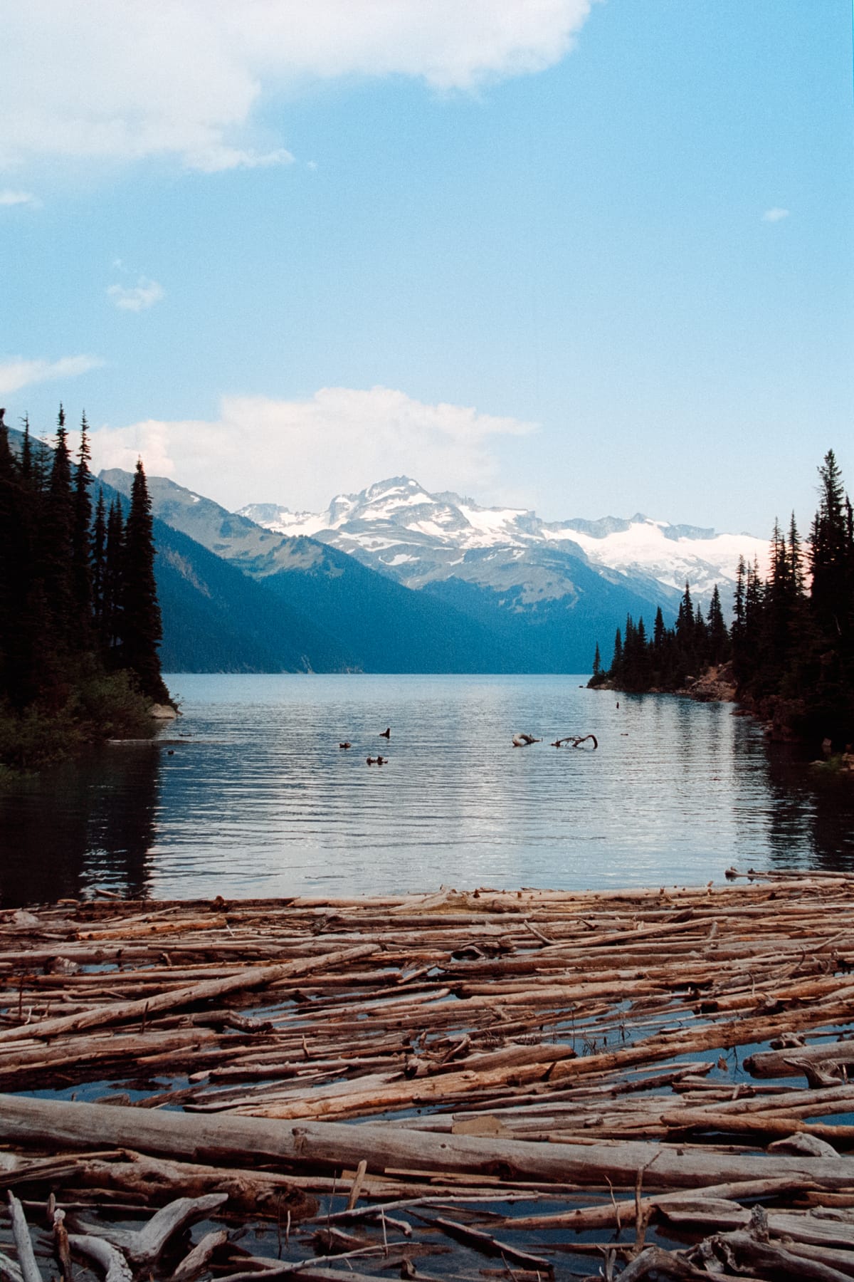 Garibaldi Lake